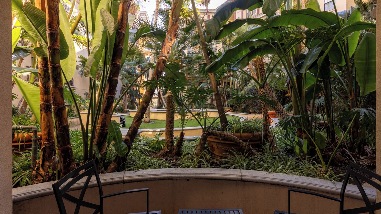 Photo of Outdoor in Beverly Hills