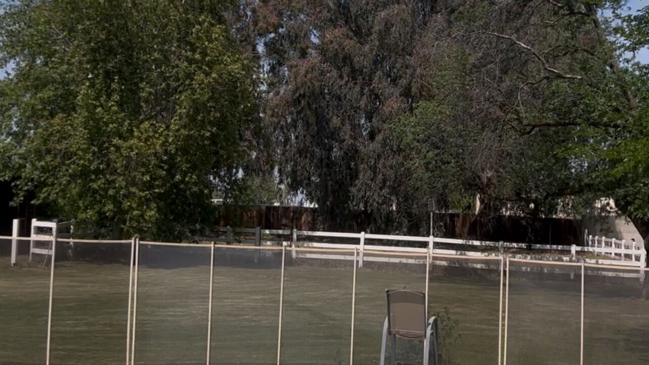 Photo of Outdoor in Greenacres