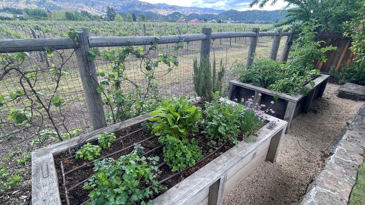 Photo of Outdoor in Yountville
