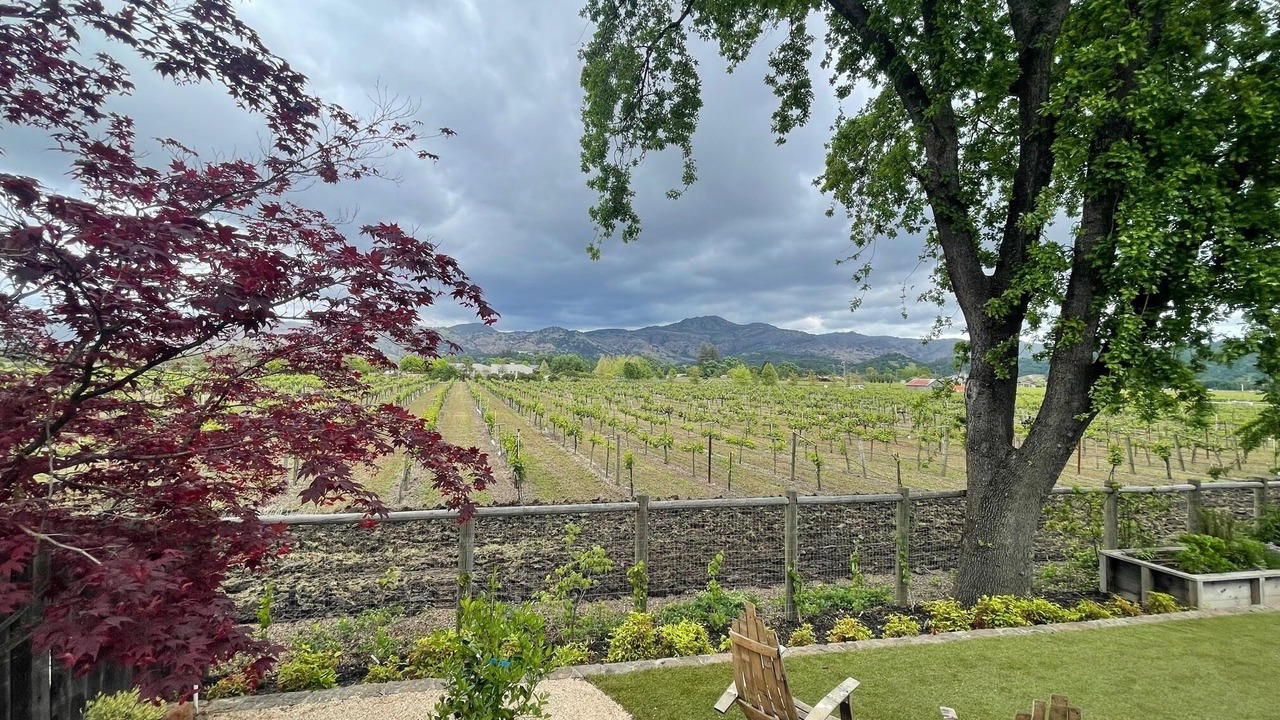 Photo of Outdoor in Yountville