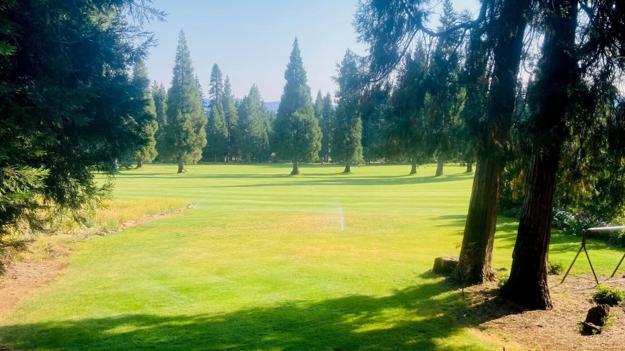 Photo of Others in Lake Almanor West