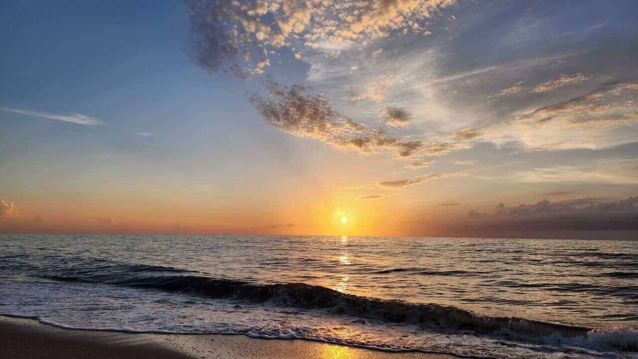 Photo of Others in Hollywood