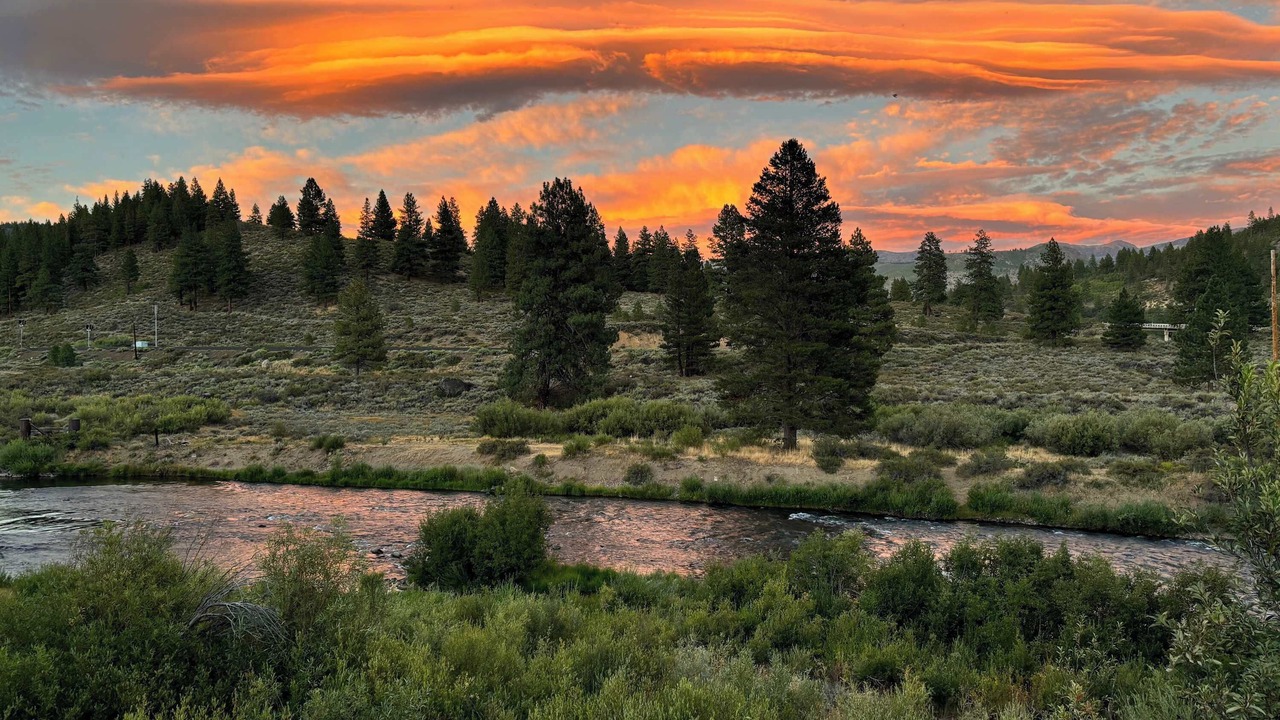 Photo of Others in Tahoe Pines