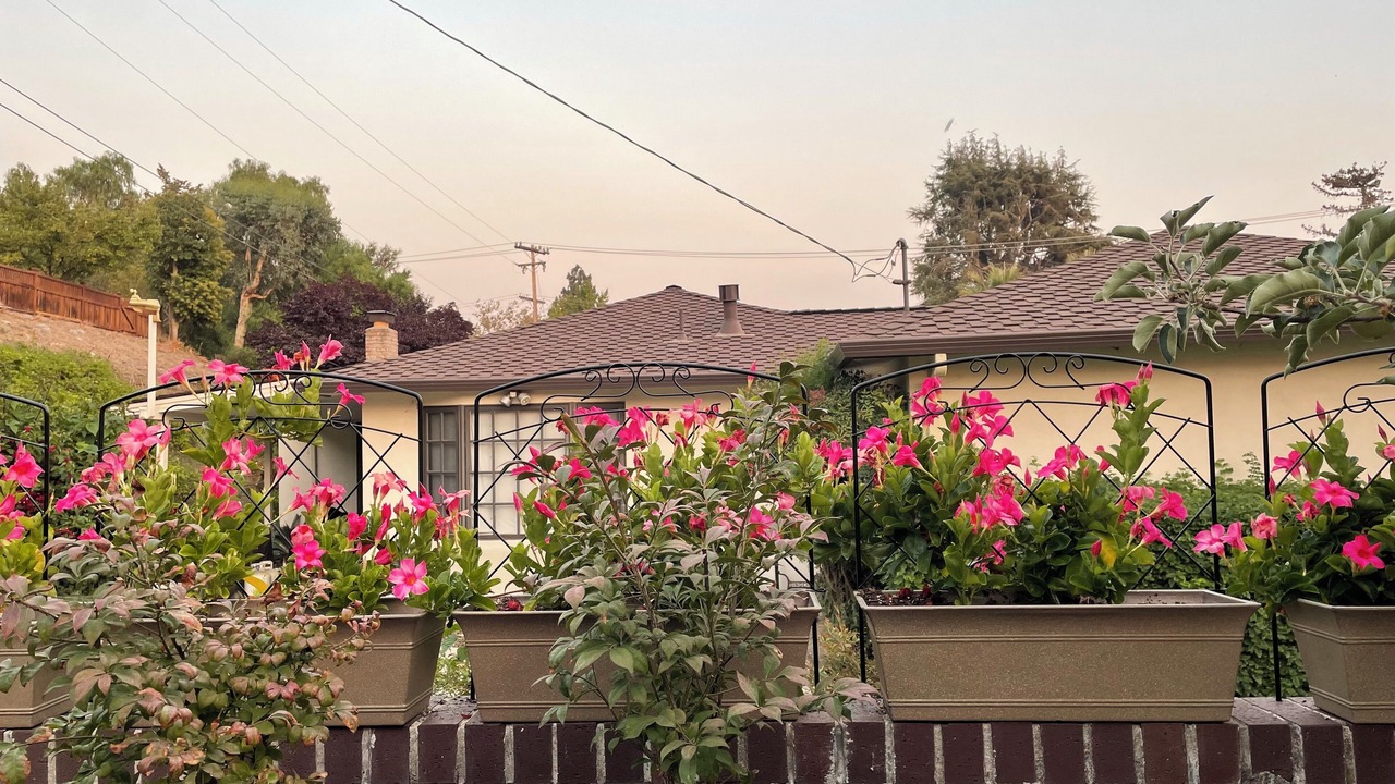 Photo of Outdoor in Noble