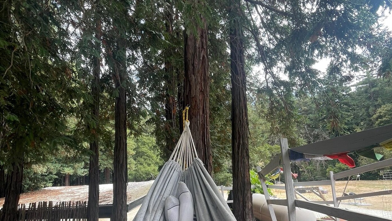 Photo of Outdoor in Gilroy