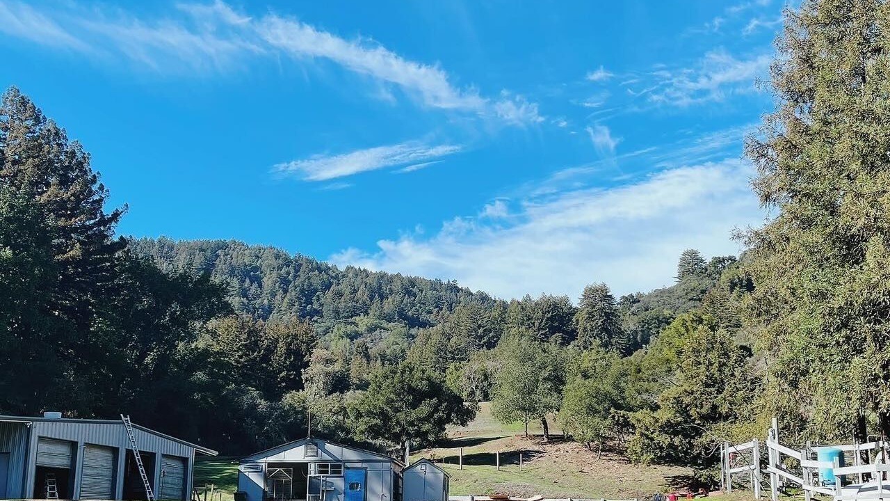 Photo of Others in Gilroy