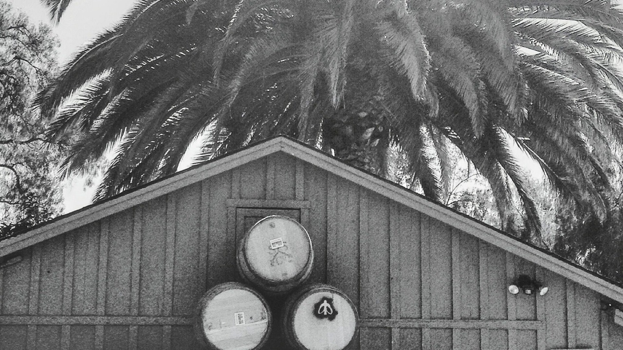 Photo of Others in East Beach