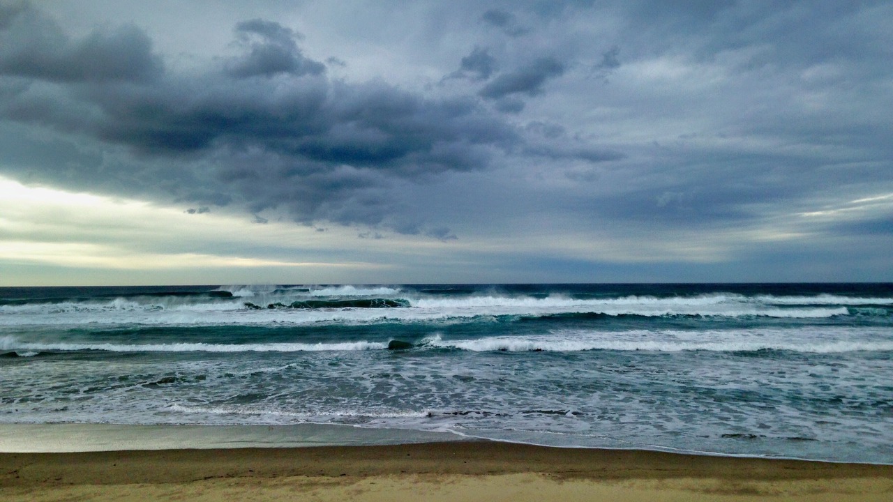 Photo of Others in East Beach