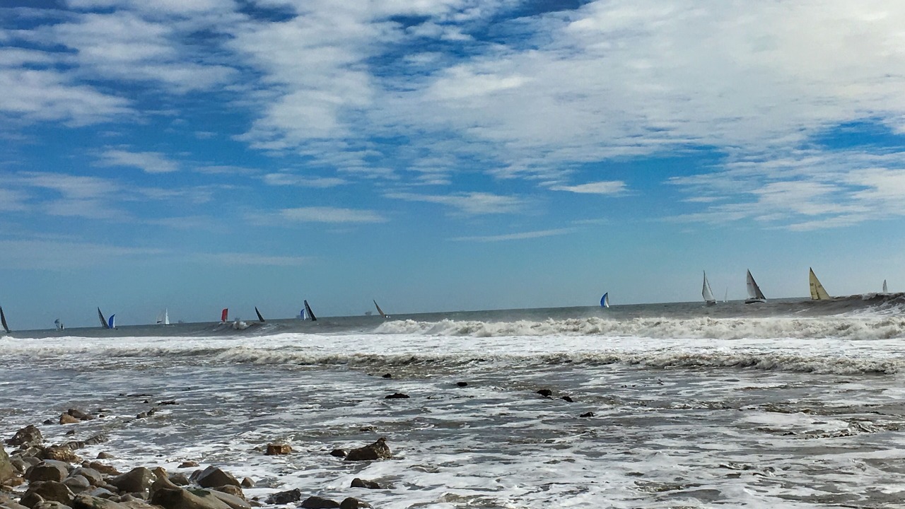 Photo of Others in East Beach