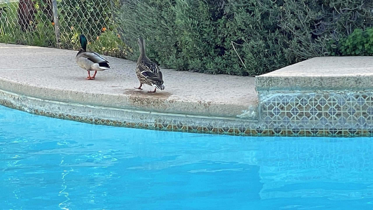Photo of Outdoor in Rancho Cordova