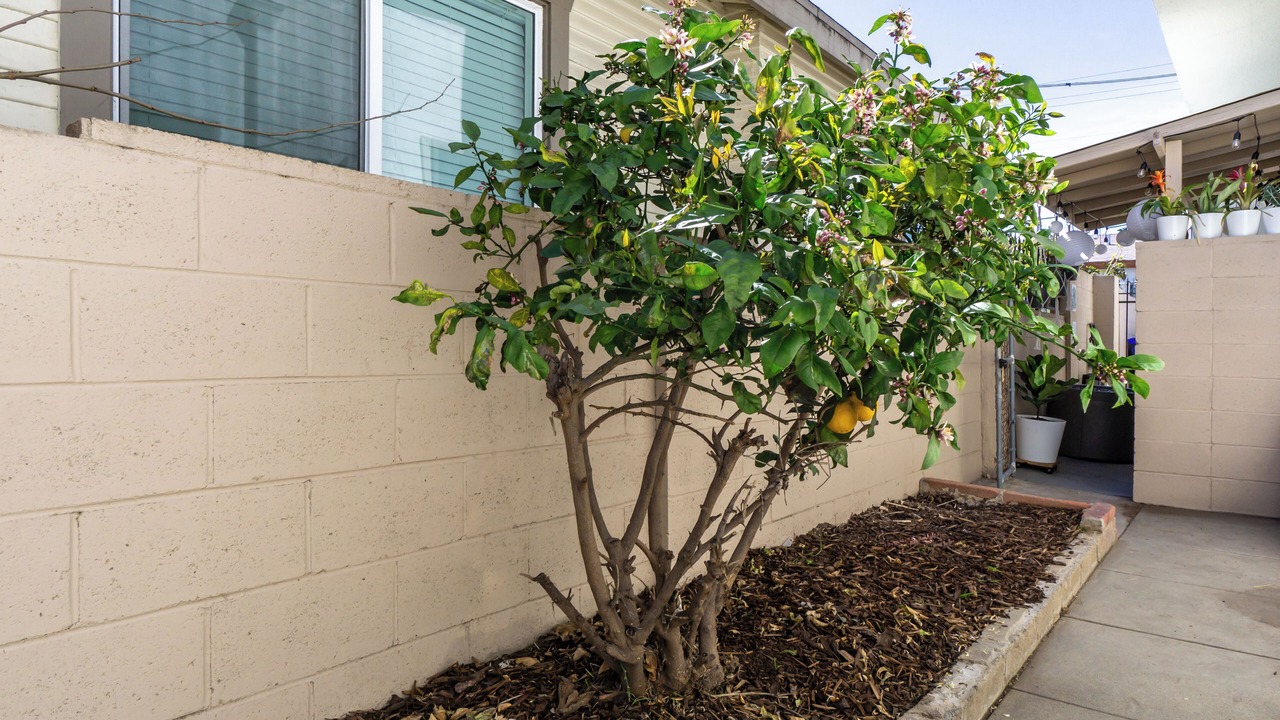 Photo of Outdoor in City Heights
