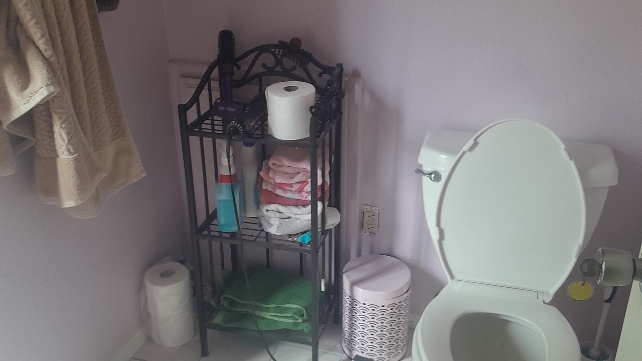 Photo of Bathroom in Bonita