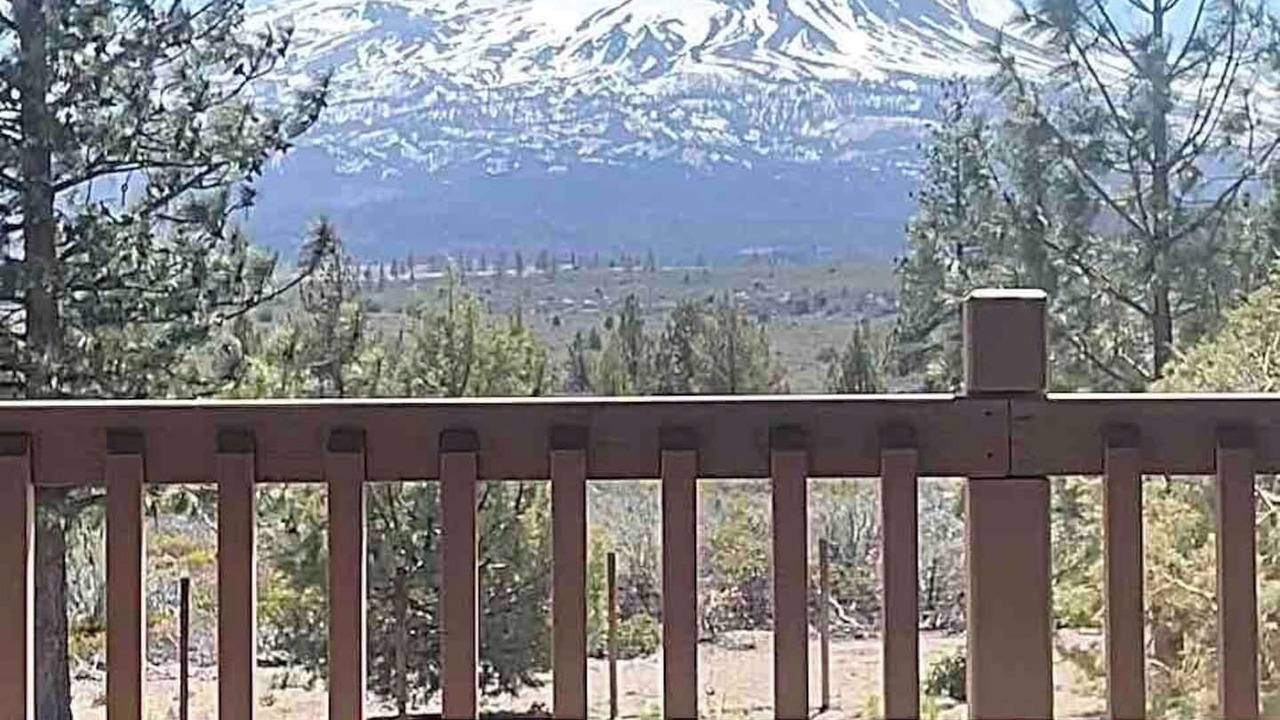 Photo of Outdoor in Weed