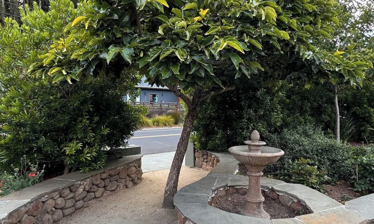 Photo of Outdoor in Tamalpais-Homestead Valley