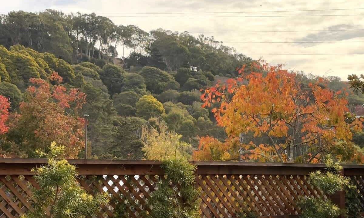 Photo of Others in Tamalpais-Homestead Valley