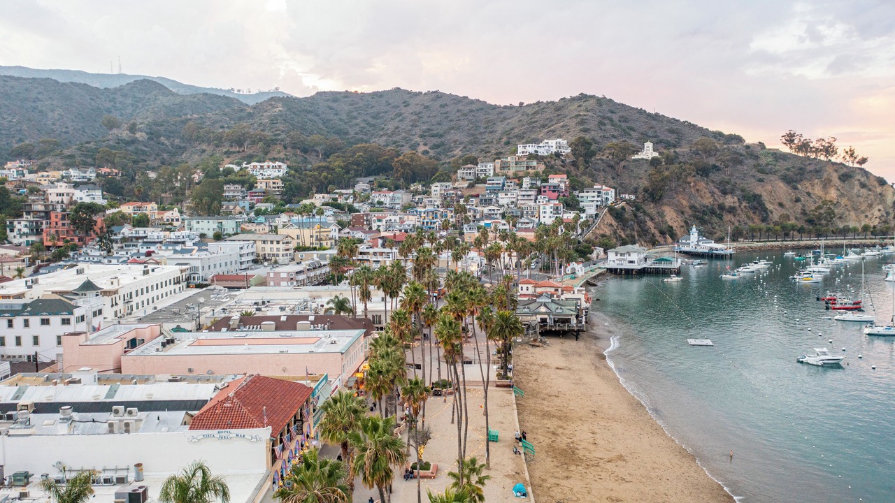 Photo of Outdoor in Avalon