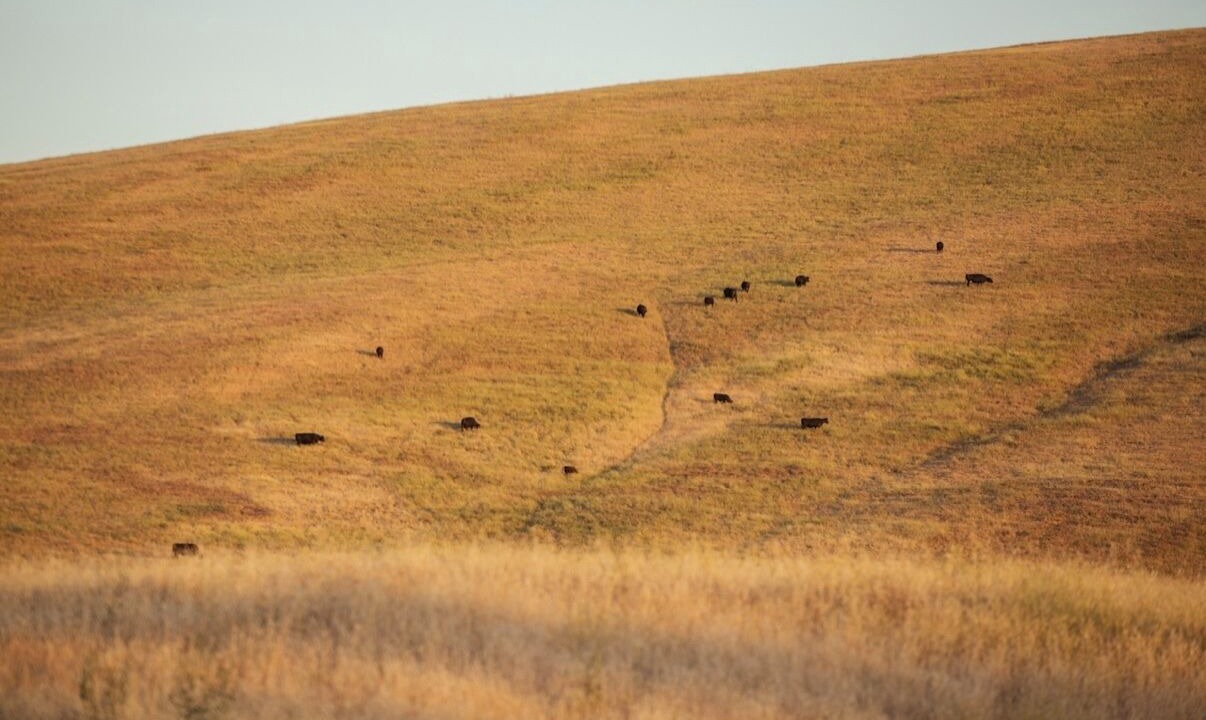 Photo of Others in Creston