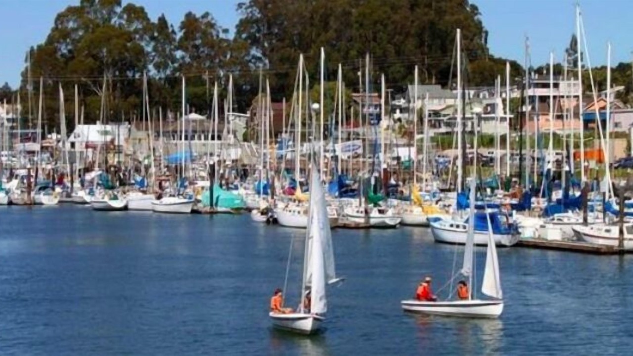 Photo of Others in Seabright