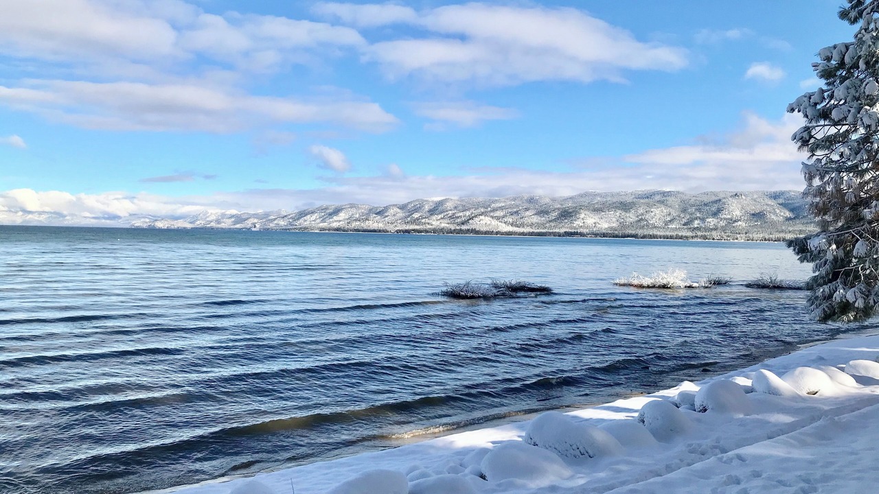 Photo of Others in Al Tahoe