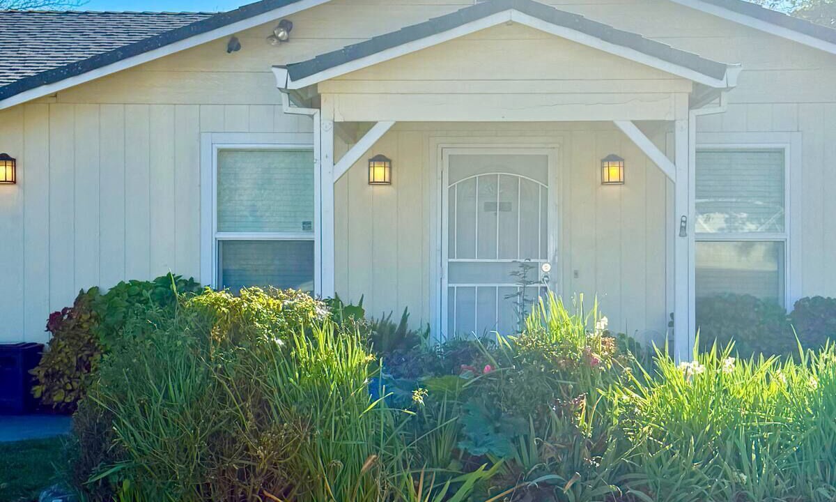 Photo of Outdoor in Shasta View