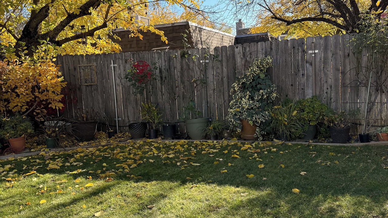 Photo of Outdoor in Shasta View