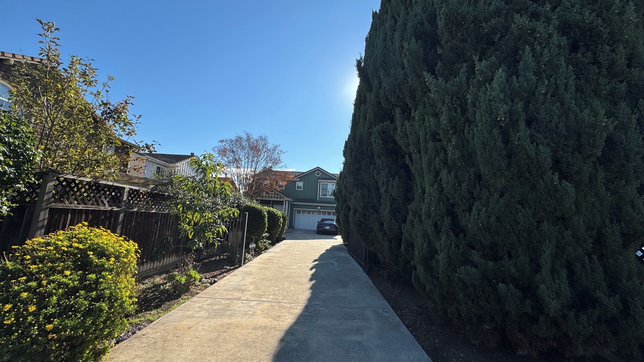 Photo of Outdoor in Santa Clara