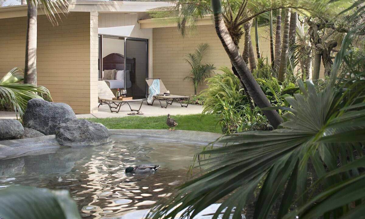 Photo of Outdoor in Mission Beach