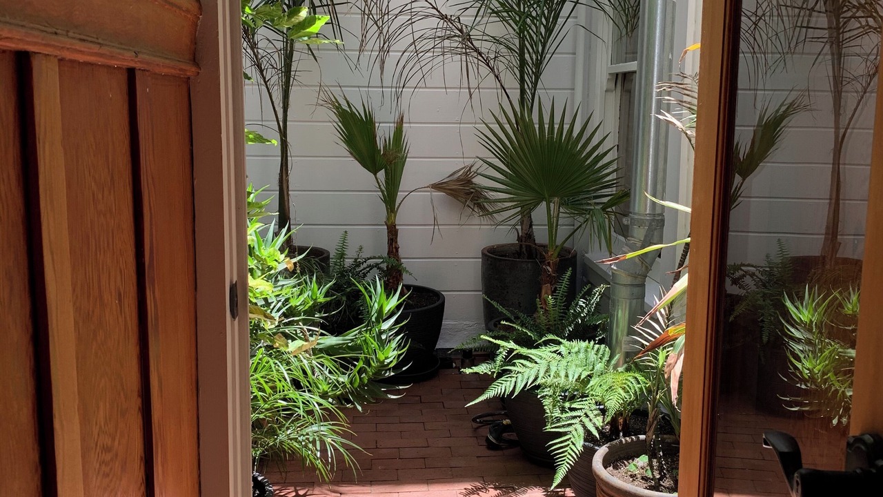 Photo of Others in Russian Hill
