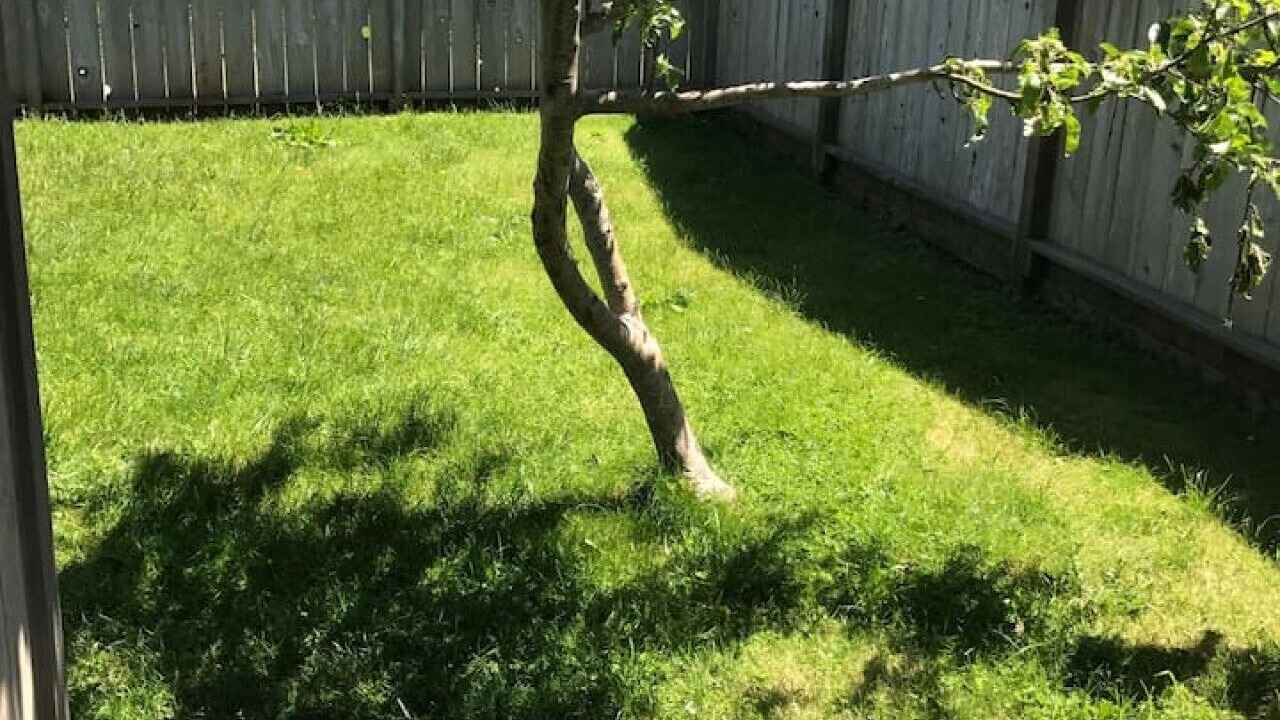 Photo of Outdoor in Eureka