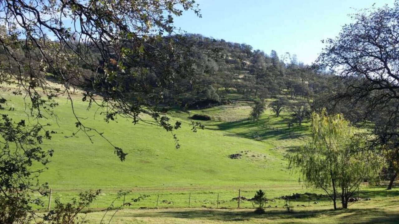 Photo of Others in Cedar Ridge