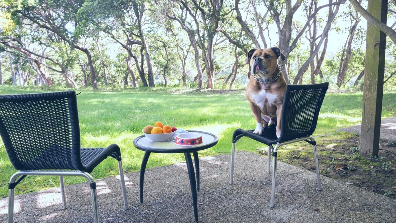 Photo of Outdoor in Live Oak