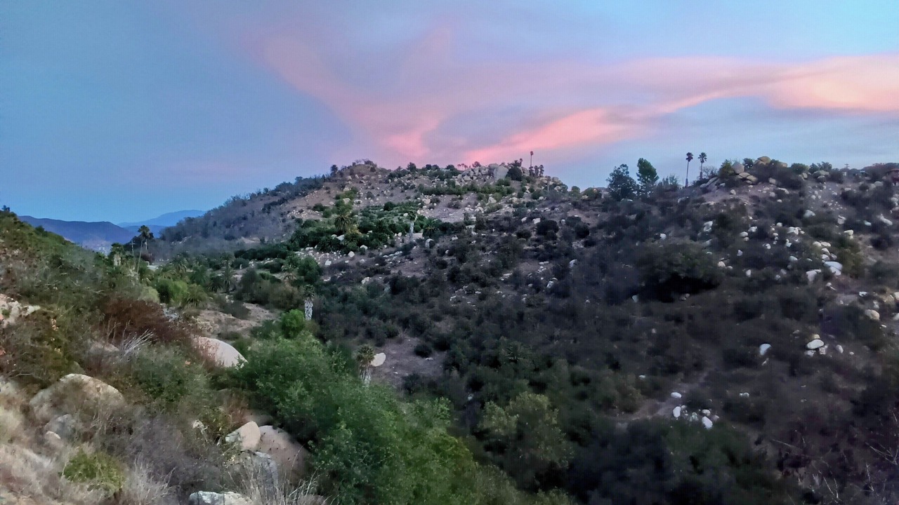 Photo of Others in Fallbrook