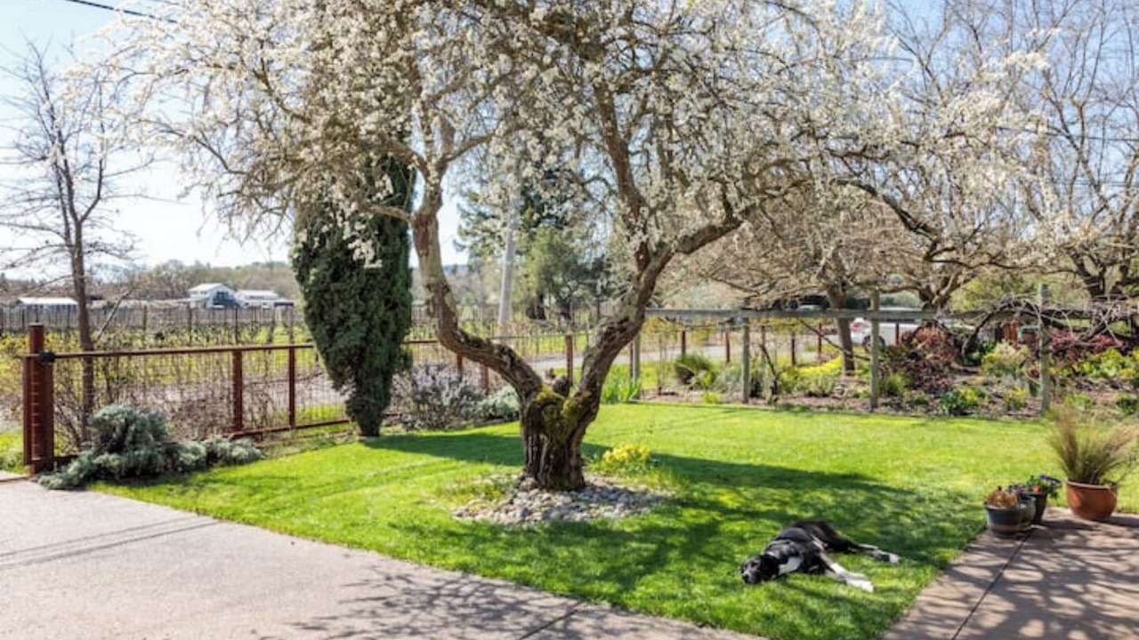 Photo of Outdoor in Sonoma