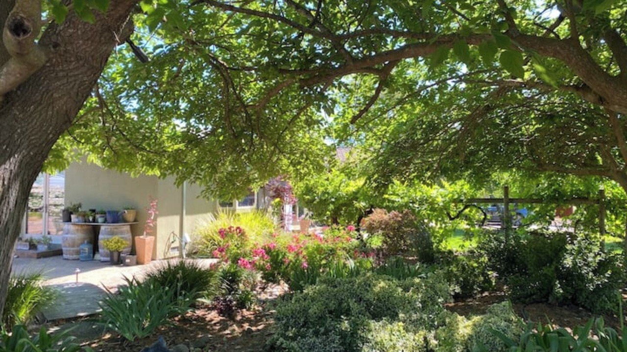 Photo of Outdoor in Sonoma