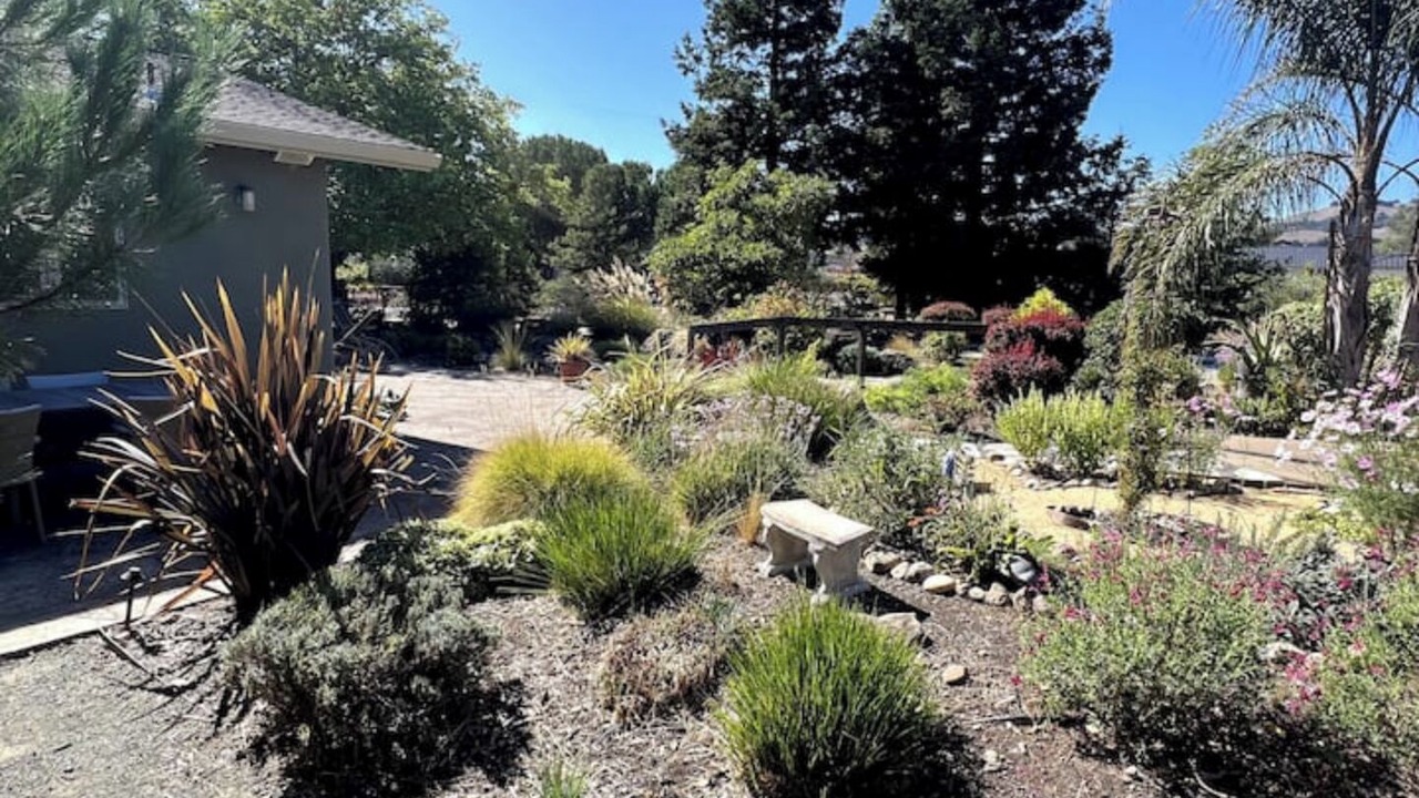 Photo of Outdoor in Sonoma