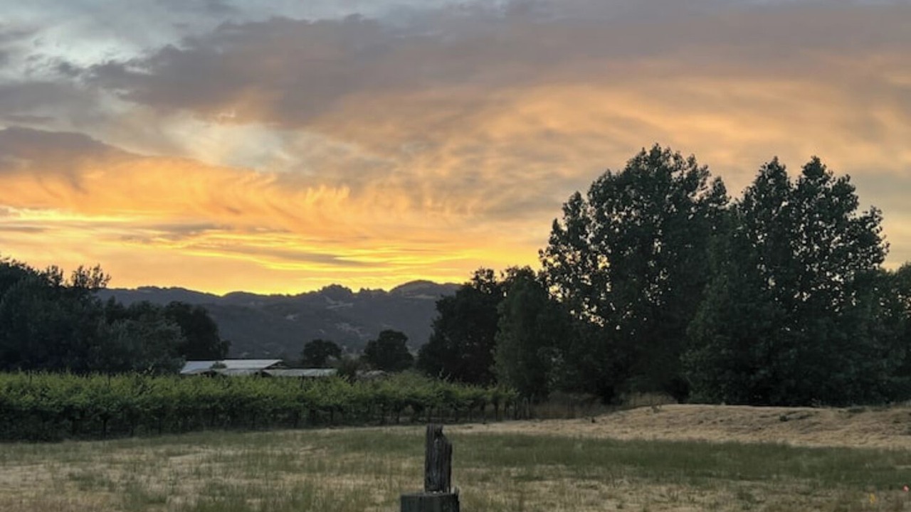 Photo of Others in Sonoma