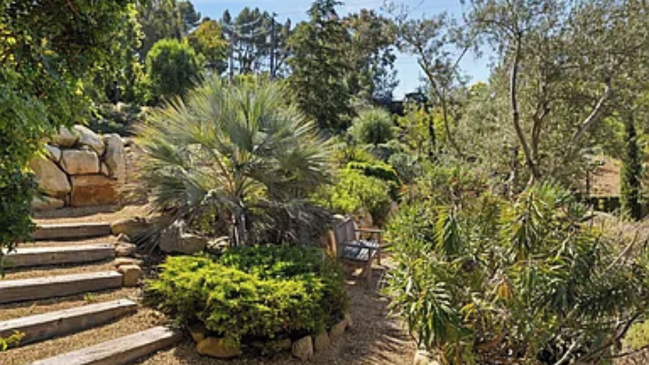 Photo of Outdoor in Toro Canyon