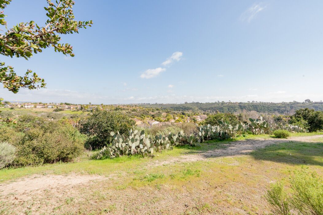 Photo of Others in San Diego