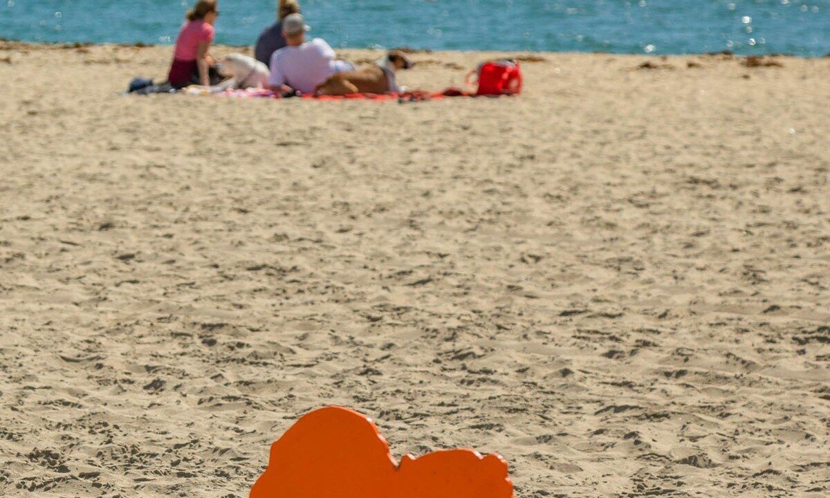 Photo of Others in Belmont Shore