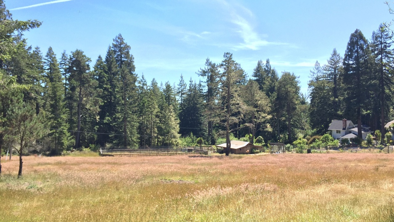 Photo of Others in Cazadero