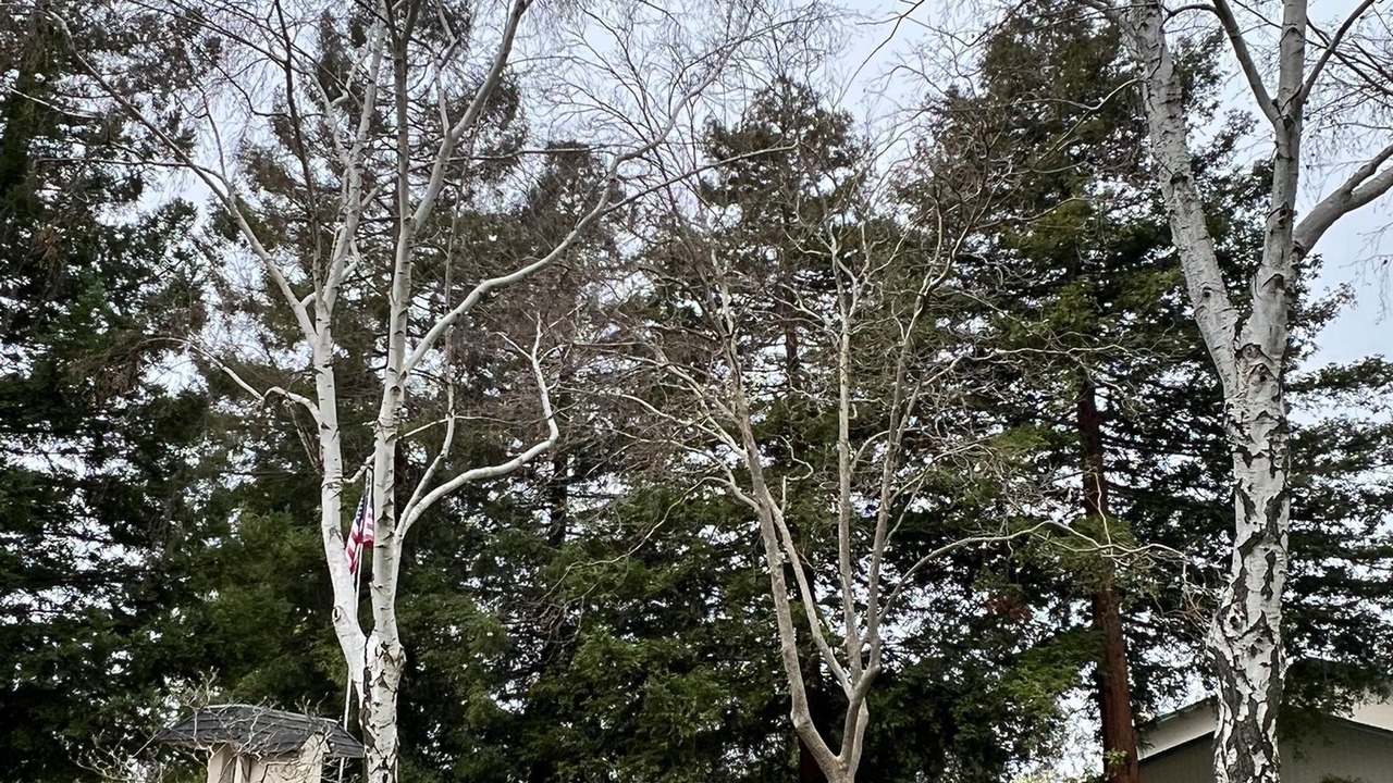 Photo of Outdoor in Benicia