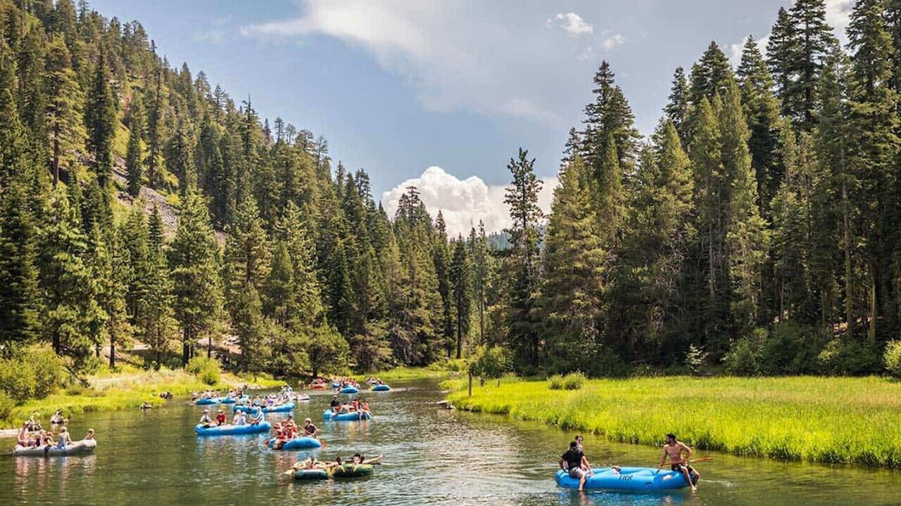 Photo of Others in Alpine Meadows