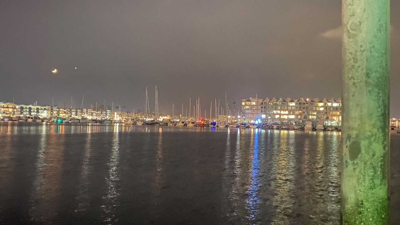 Photo of Others in Marina del Rey