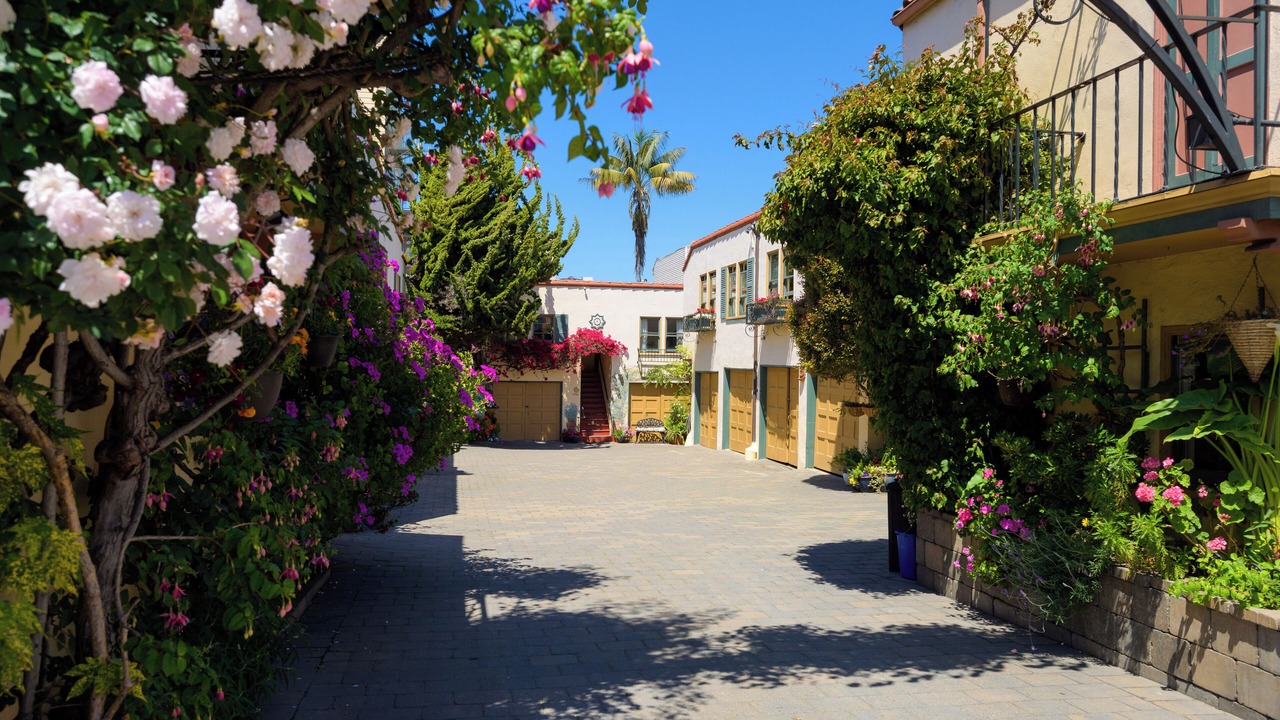 Photo of Outdoor in Marina District