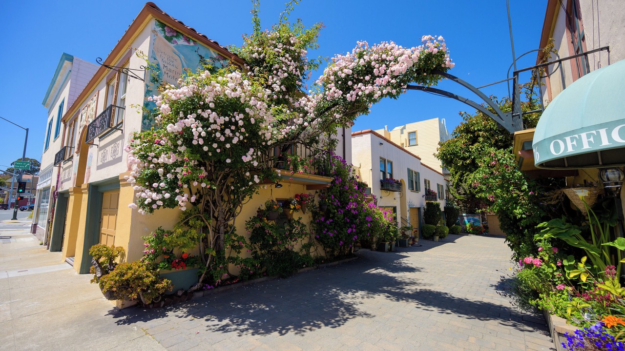 Photo of Outdoor in Marina District