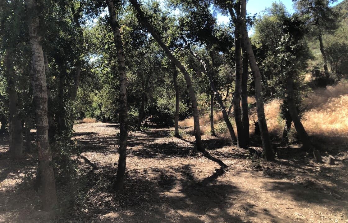 Photo of Others in Leona Valley