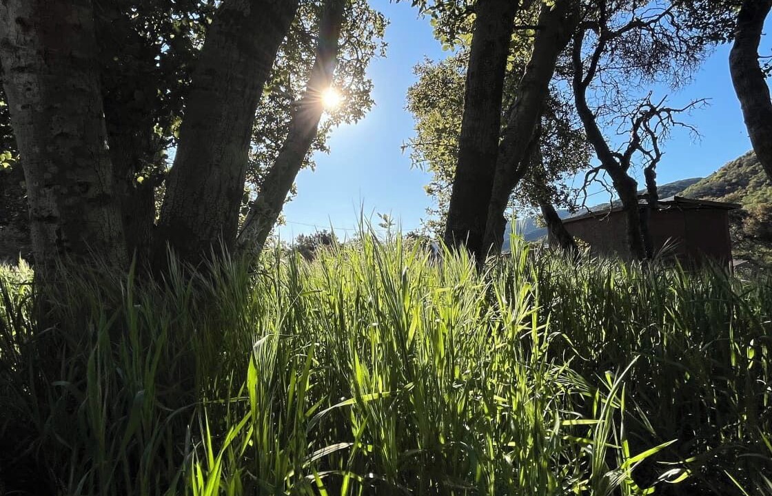 Photo of Others in Leona Valley