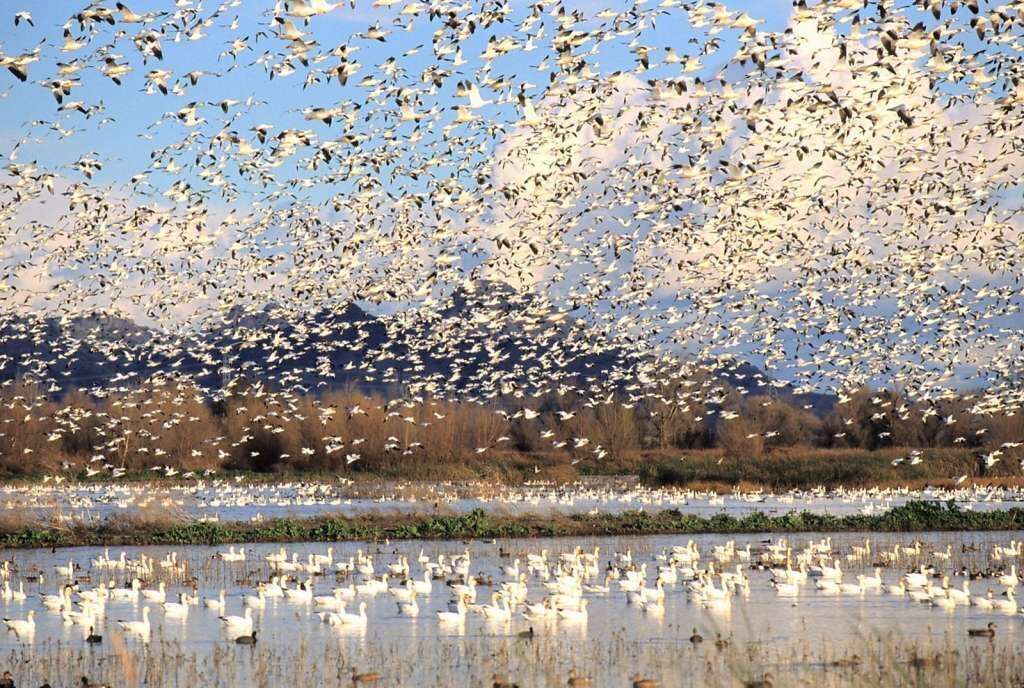 Photo of Others in Colusa