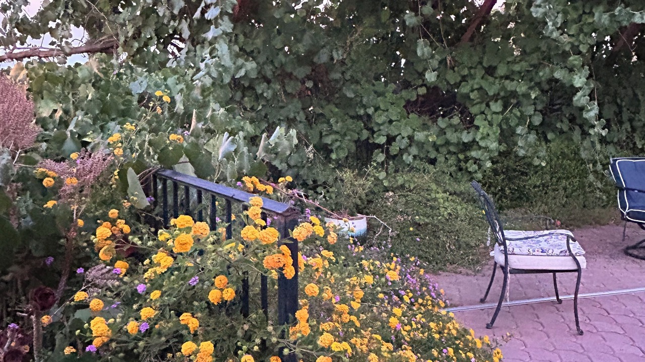 Photo of Patio Balcony in Farm Hills