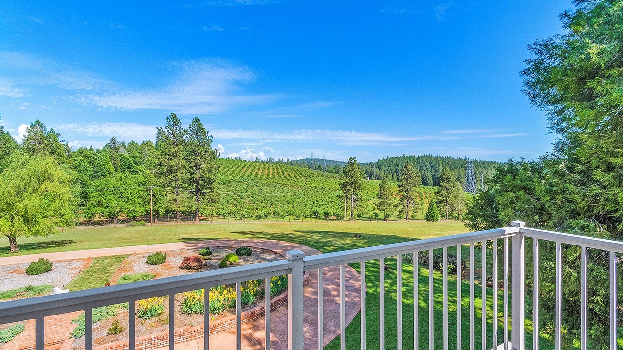 Photo of Outdoor in Apple Hill
